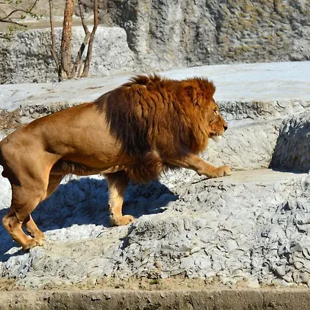 Downtown View 3 60m2+ Free Garage 2km Old Town Metro 9min Tram * Warschau